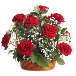 12 Red Roses In a Basket