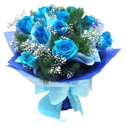 send 12 Pcs. light blue color roses bouquet to philippines