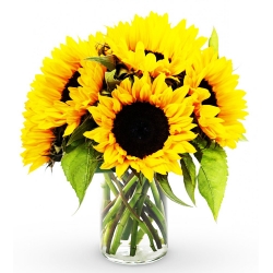 6 Pieces Seasonal Sunflower Vase