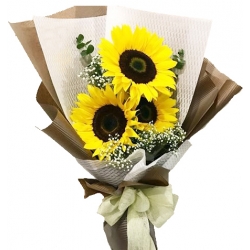 Long Stem 3 pcs Sunflowers Bouquet