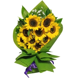 Long Stem 9 pcs Sunflowers Bouquet