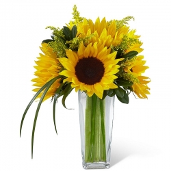 6 Pieces Long Stem Sunflowers in Vase