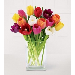 one dozen tulips vase in philippines