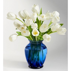 one and half dozen tulips in a vase to philippines