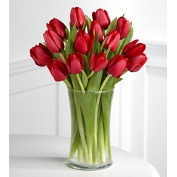15 elegant red tulips in vase to philippines