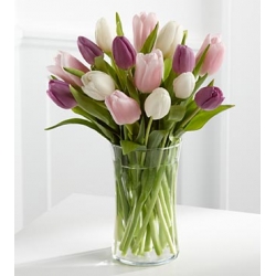 white pink purple tulips vase to philippines