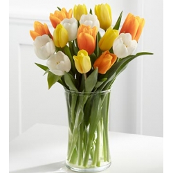 12 white orange and yellow tulips to philippines