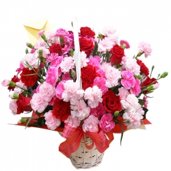delivery 12 red roses mixed flowers basket to Philippines,pink white flowers send to manila Philippines