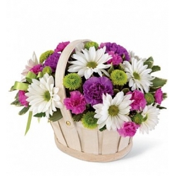 online rose order to manila Philippines,flower send to manila philippines,send basket to philippines