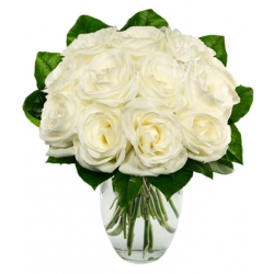One Dozen White Roses Send To Philippines