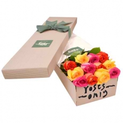 12 Mixed rose box  to Manila Philippines